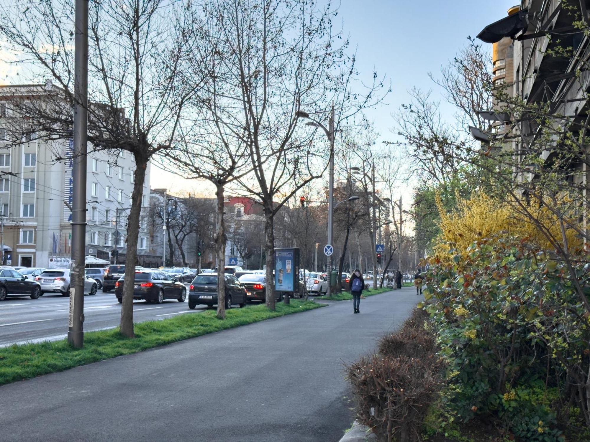 Central Retreat Apartments Bucharest Exterior photo